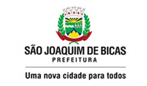 6-bicas         